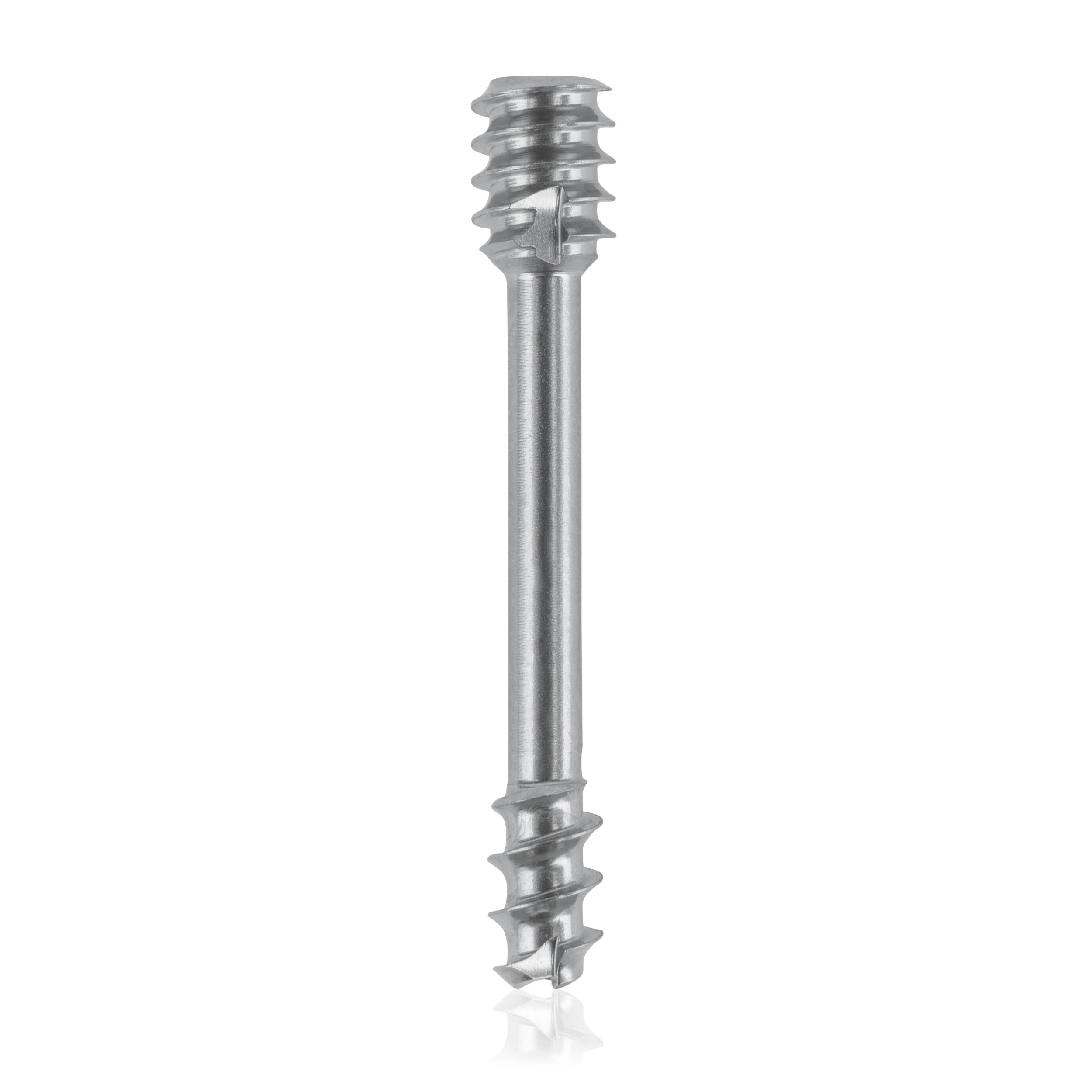 L = 24mm